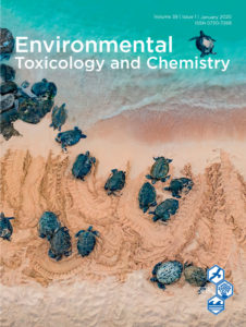 A National‐Scale Framework for Visualizing Riverine Concentrations of Microplastics Released from Municipal Wastewater Treatment Incorporating Generalized Instream Losses